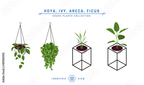 Isometric pot plants icons in flat style, vector