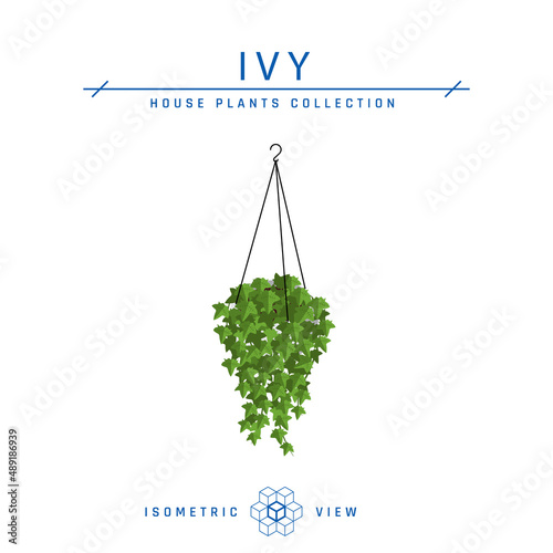 Hanging pot isometric icon in flat style, vector