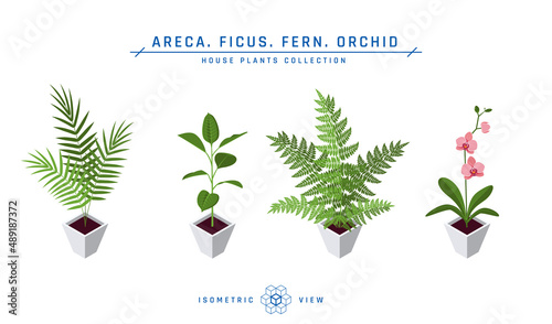 Isometric pot plants icons in flat style, vector