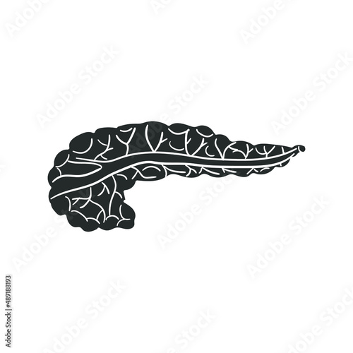 Pancreas Icon Silhouette Illustration. Anatomy Organ Medicine Vector Graphic Pictogram Symbol Clip Art. Doodle Sketch Black Sign.