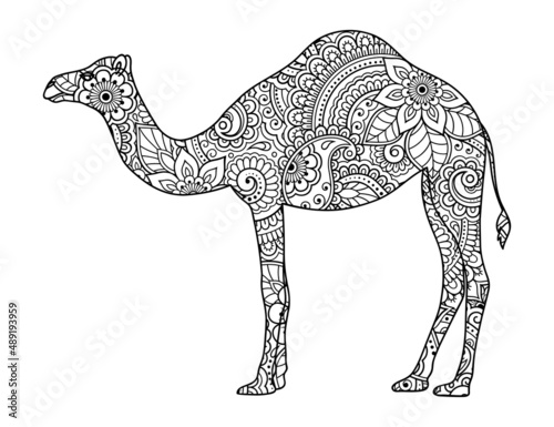 Hand Drawn vector illustration doodle stylized animal - camel. Sketch for book  poster  print  or tattoo. Adult antistress coloring page.