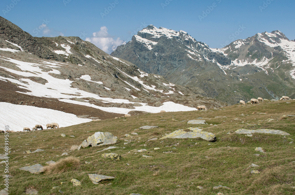 Hiking in Valmalenco. Italian Alps