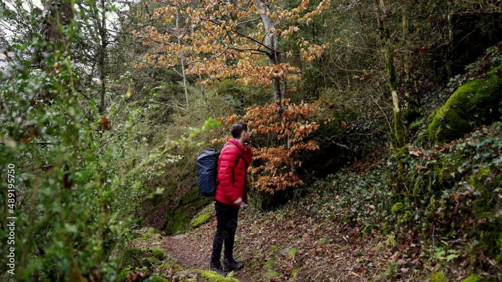 young modern backpacker trekking alone in woodland trails try to find a 5g fast internet data connection gps internet signal in a remote area young modern backpacker trekking alone in woodland trails try to find a 5g fast internet data connection gps internet signal in a remote area