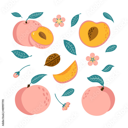 Juicy Ripe Sweet Peaches Set. Collection of whole, Half Sliced ,Chopped Nectarine, Flower and Leaves Vibrant Illustrations for logo, juice package, banner and menu design. Cartoon style