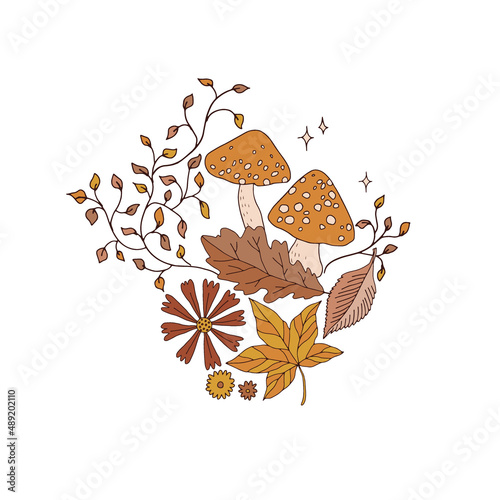 Autumn mushrooms fly agaric fallen leaves ivy plant floral vector illustration isolated on white. Boho Halloween magical night forest natural print.