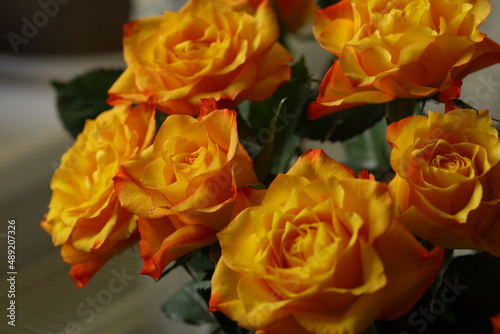 beautiful bouquet of orange roses with delicate petals