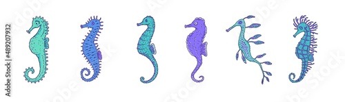 Photography Set blue seahorses different forms