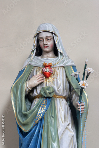 Immaculate Heart of Mary, statue on the altar of the Immaculate Heart of Mary in the parish church of St. Matthew in Garcin, Croatia photo