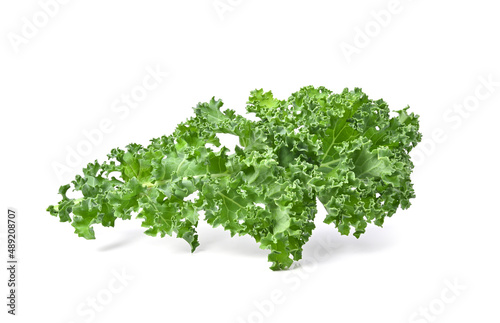 kale leaves on white background full depth of field
