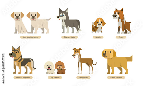 vector set of dogs with flat style