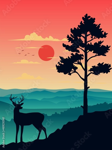 sunset in the mountains wild deer
