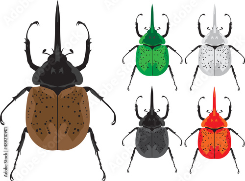 Set of Hercules Beetles Male isolated on white background in flat style. Detailed illustration Hercules beetles isolated in a flat style on white background.