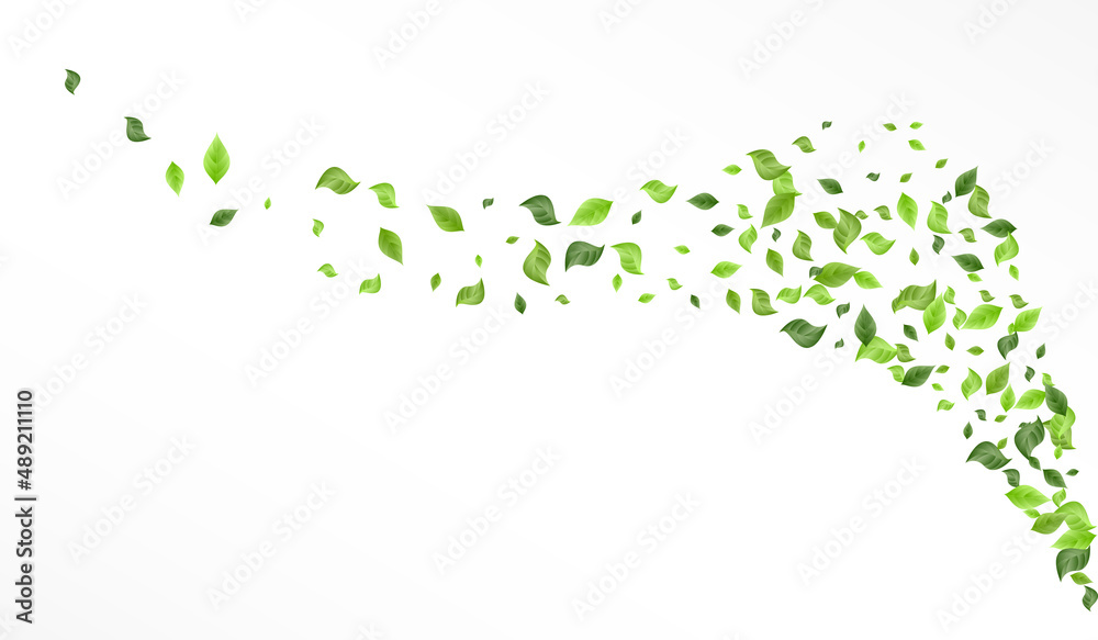 Swamp Greenery Realistic Vector White Background Swamp Greenery Realistic Vector White Background