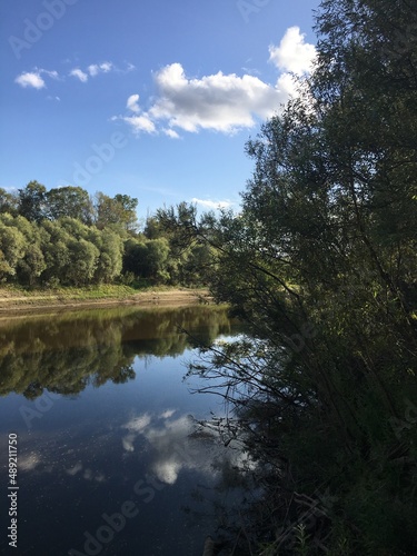 lake in the forest