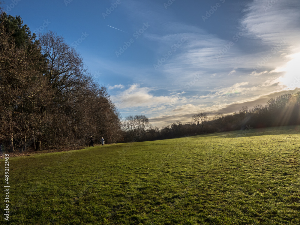 Obraz premium landscape with grass and sky