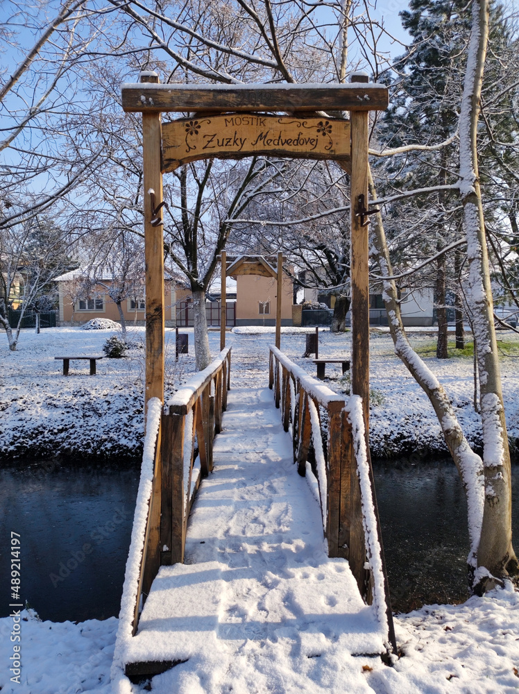 snowy winter in the park in Backi Petrovac, Vojvodina snowy winter in the park in Backi Petrovac, Vojvodina