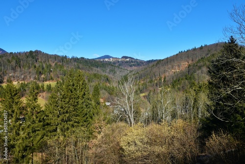 View of a forest covered valley above Poljanska Dolina near Gorenja vas, Slovenia
