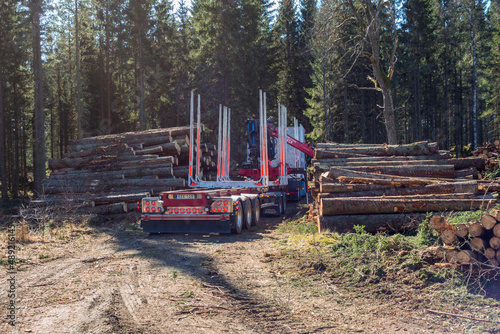 Timber truck with a trailer by a timber storage in the woodland photo