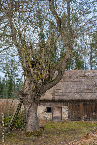 Tree Hut in a tree by an old barn