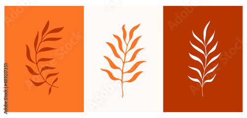 Silhouettes of elegant branches. Hand drawn vector illustrations. Bohemian print concept. Design elements on colored backgrounds.