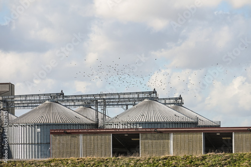 industrie cereales grains sillo toit oiseaux nourriture alimentation agriculture photo