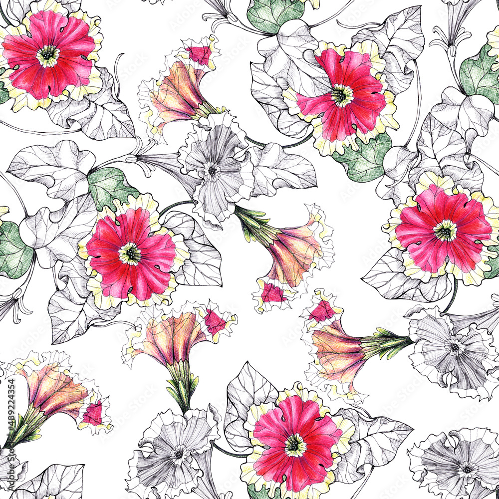 Flowers petunia drawing in ink and watercolor. Floral seamless pattern.