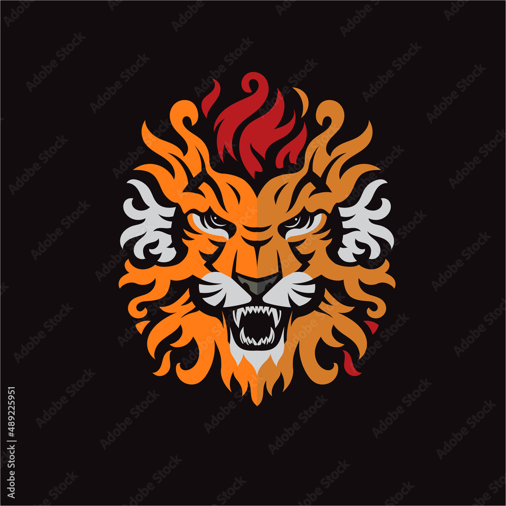 Fototapeta premium abstract angry lion fire head color vector