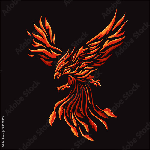 Fotografia phoenix fire bird colorful vector illustration