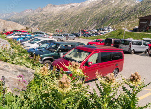 Alpine prickly plant and deliberately blurred parked cars on the Grimselpass, Switzerland