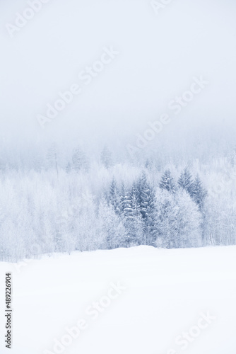 Winter landscape in white and grey