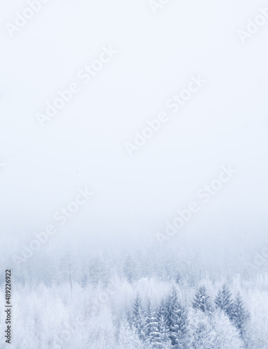 Snowy landscape and misty mountain