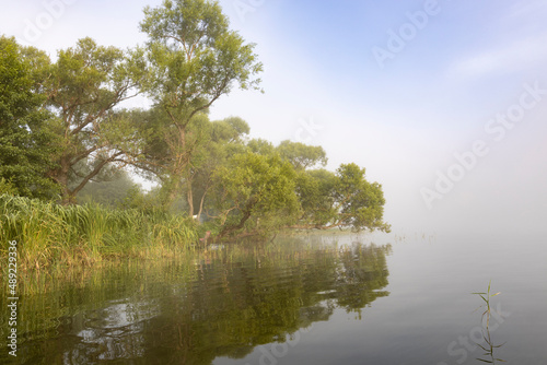 Mystical landscape. Fog in the early morning on the river. The trees near the water are illuminated by the rays of the rising sun.