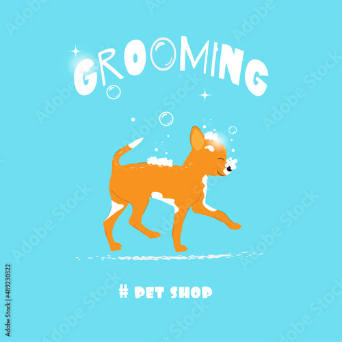 Dog character. Vector flat illustration.