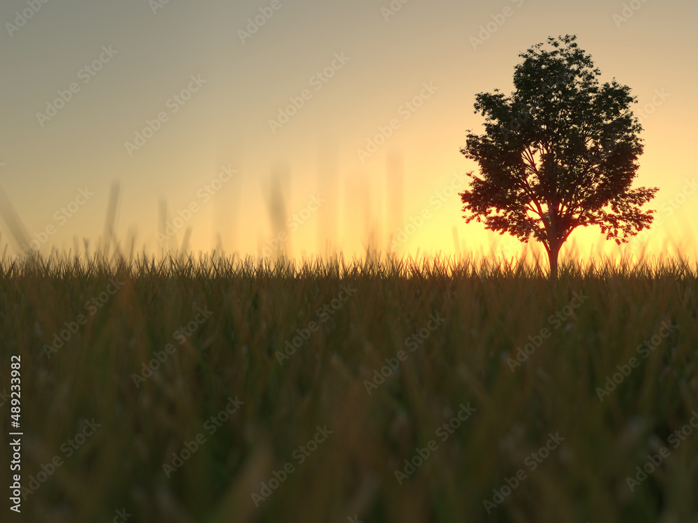 A lonely tree in a green field at sunrise or sunset A lonely tree in a green field at sunrise or sunset