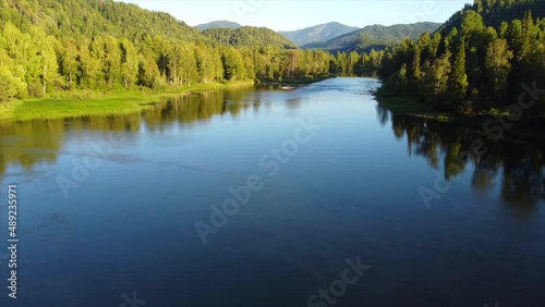 A river among mountains and coniferous forest. Drone video.