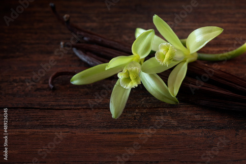 Aromatic Vanilla sticks and flowers on dark wooden background, vanilla fargrans (Salish) Ames, Vanilla Planifolia, resource of Vanilla flavoring