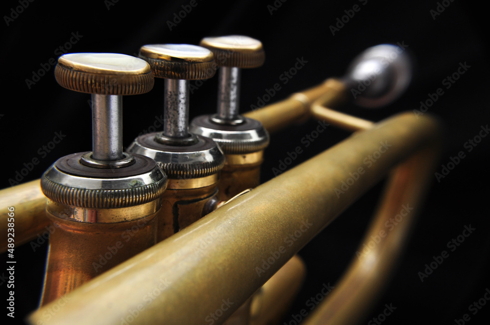 Fototapeta premium trumpet valves
