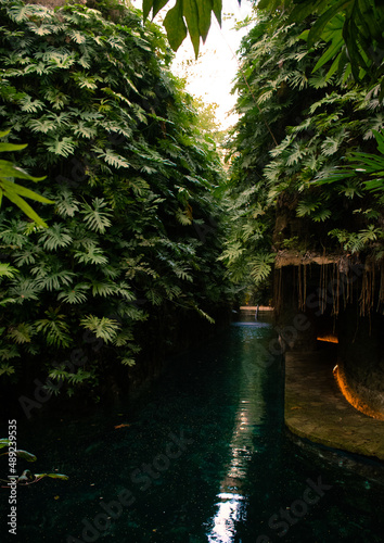 Cenote photo