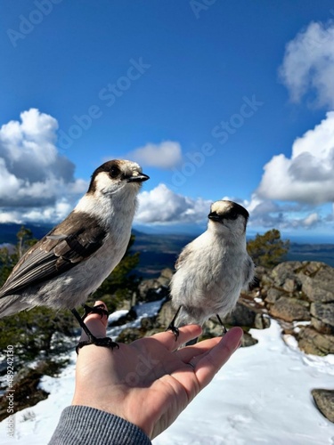 Making friends on the top of mountains - Nanaimo Vancouver island - Mt Benson