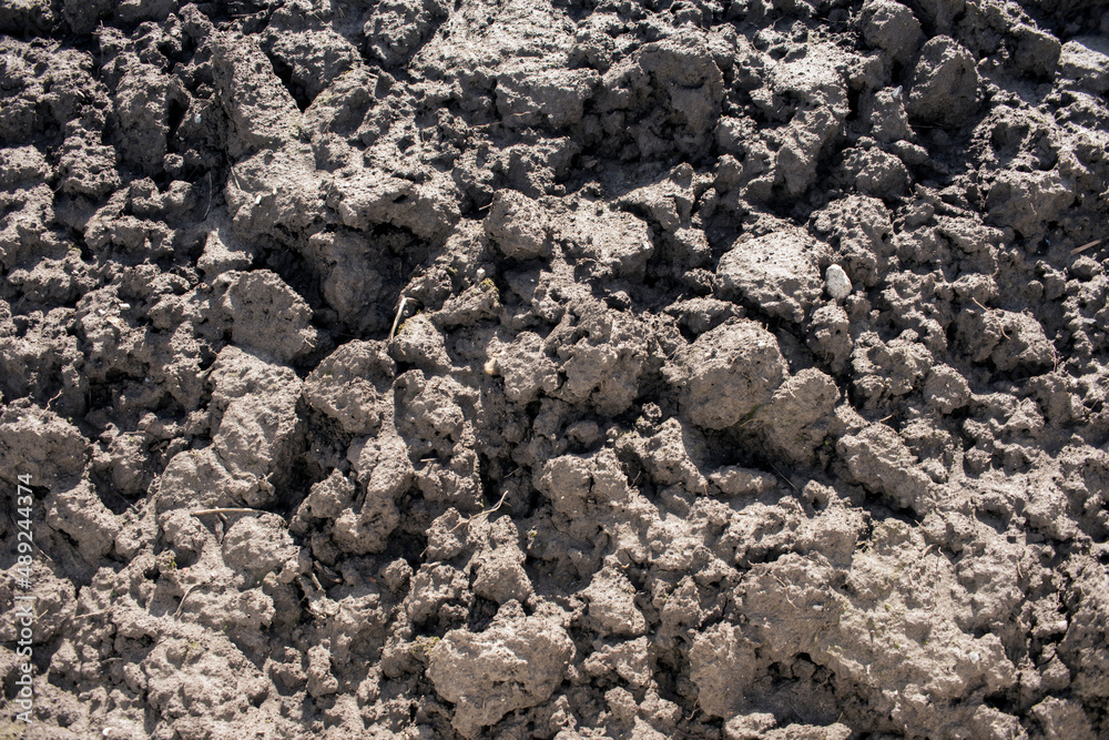 Plowed earth in a vegetable garden Plowed earth in a vegetable garden