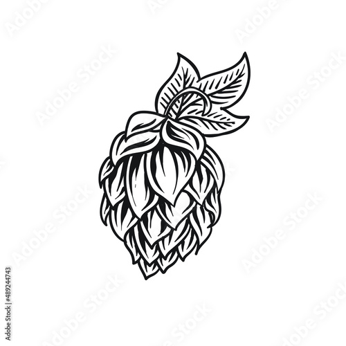 hops fruit beer for logo