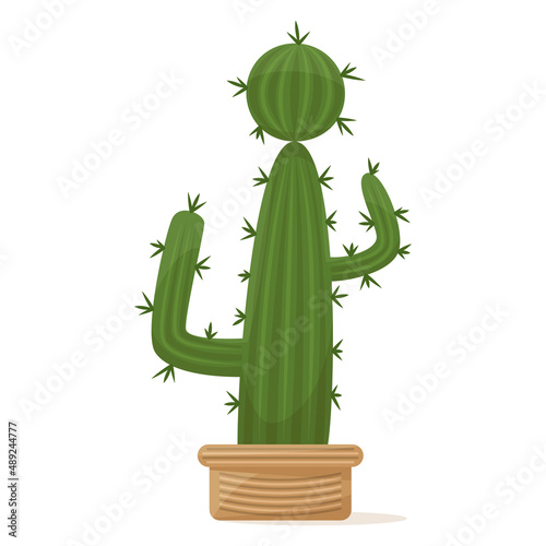 Cactus with lateral appendages and a round top. Succulent in a flower pot, a houseplant for home, office, greenhouse.  Vector icon, color cartoon, complex flat, isolated