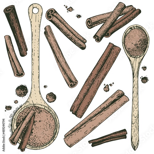 A collection of sketchy hand-drawn cinnamon. Color illustrations of engraving style. A set of isolated objects to create a design. Ground cinnamon in wooden spoons