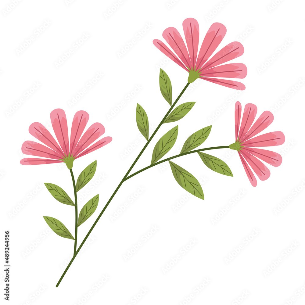 Obraz premium branch with pink flowers
