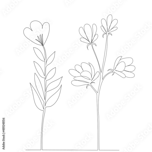 flowers drawing in one continuous line, isolated vector