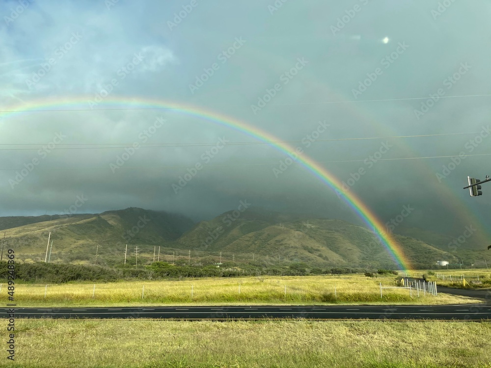 Fototapeta premium Rainbow
