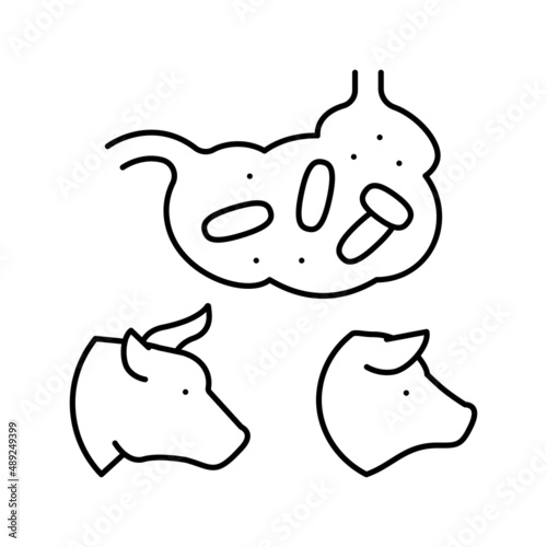 coli bacillus domestic animal line icon vector illustration