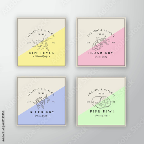 Fruits and Berries Labels Collection. Abstract Vector Packaging Design Layouts Set. Modern Typography Banners with Hand Drawn Logo and Background. Isolated.