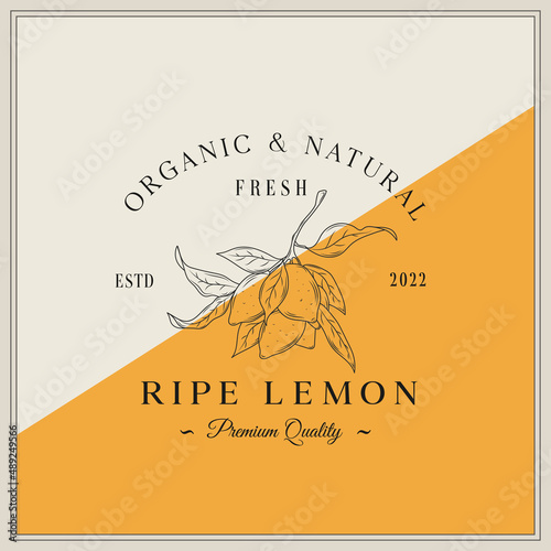 Lemon Fruit Farms Abstract Vector Sign, Symbol or Logo Template. Hand Drawn Lemons with Leaves Sketch with Retro Typography. Vintage Luxury Emblem. Isolated.