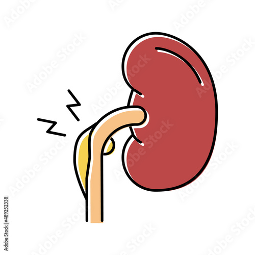 nephritic syndrome color icon vector illustration